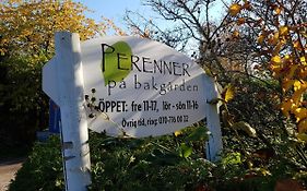 Perenner Pa Bakgarden